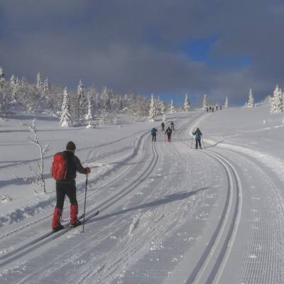 cross country skiing in Norway (1 of 1)-10.jpg
